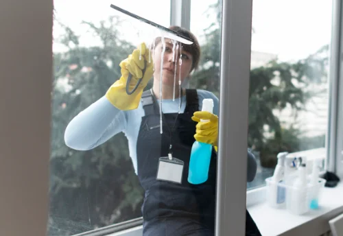 Nettoyage de vitres intérieures et extérieures à la Biolle
